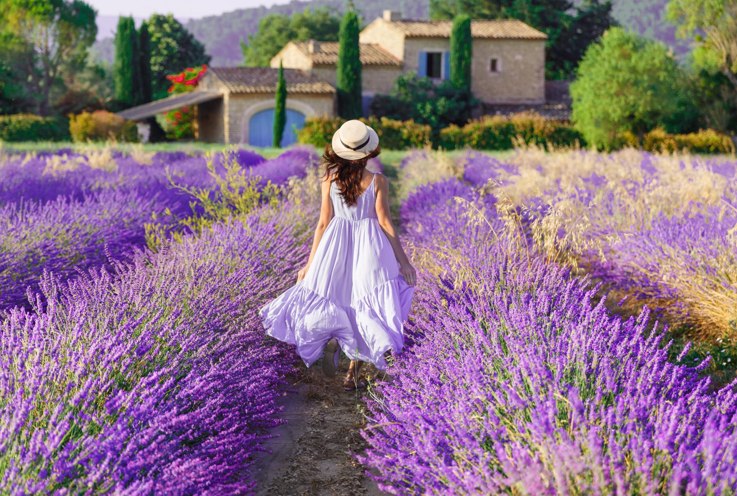 Italia | Smartferry | Provence France. Charming young woman in Blooming Lavender fields at background of beautiful traditional French Provencal house. scaled