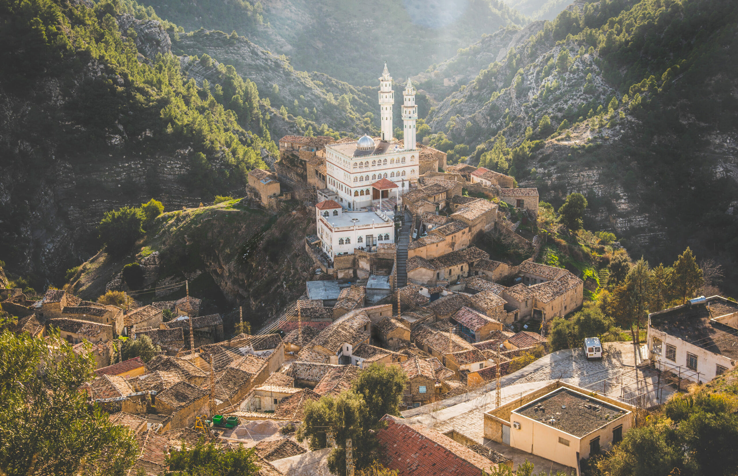 Algeria | Smartferry | mosque inside a forest in algeria scaled