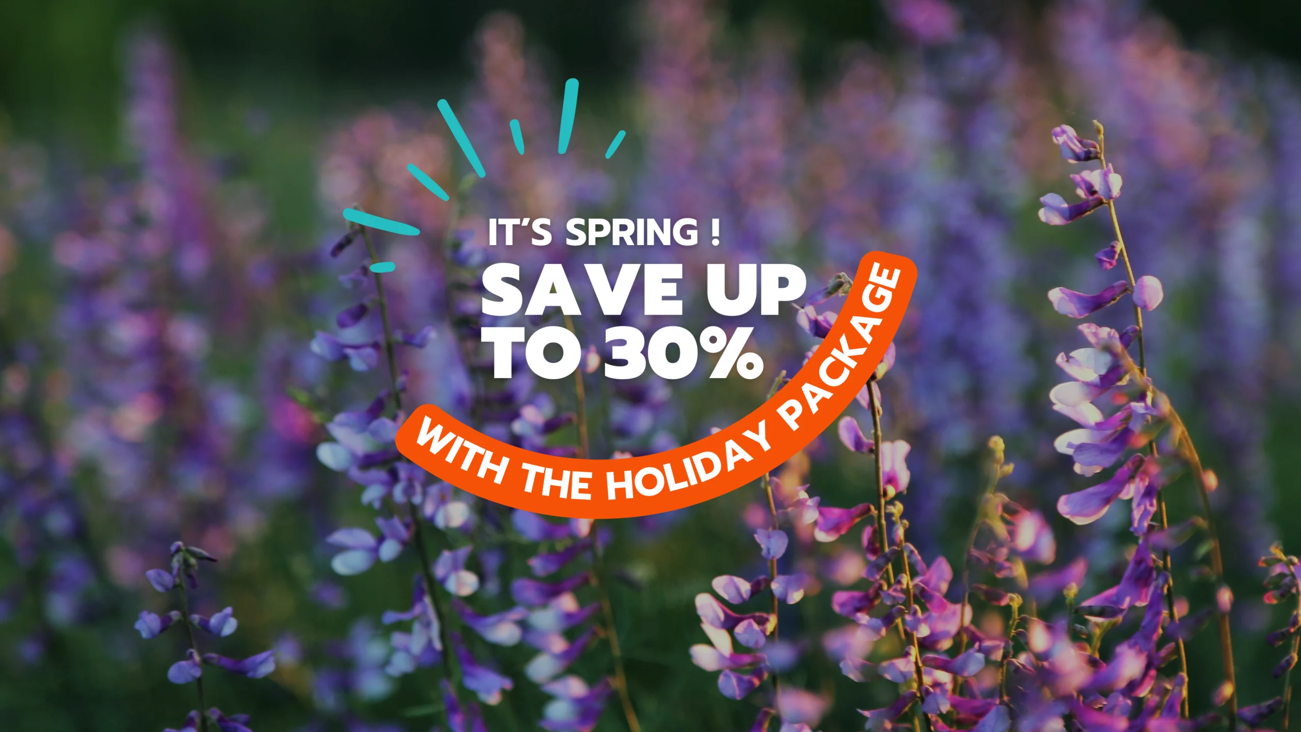 SAVE UP TO 30% ON YOUR BOOKING
